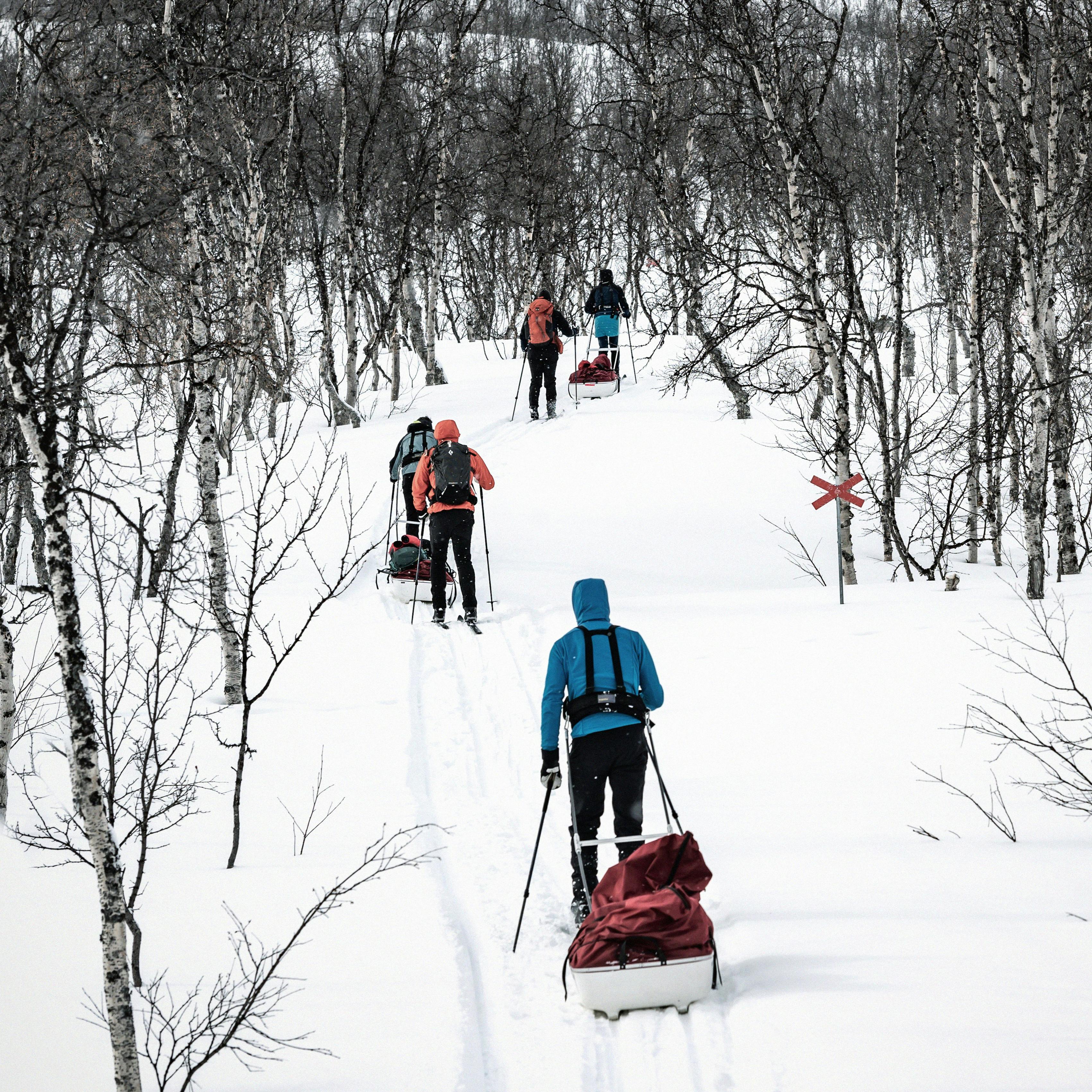 What type of crosscountry skis should I buy? United States (English)