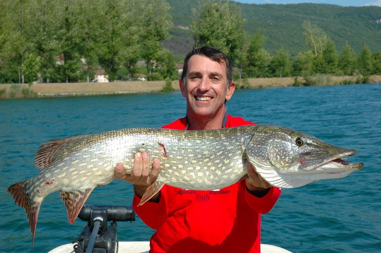 Pike can be found everywhere in the northern hemisphere
