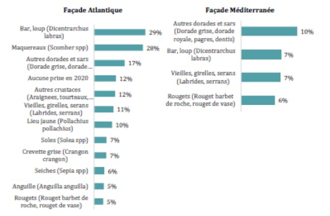 Les espèces pêchées par façade par les pêcheurs récréatifs en mer en 2020 en nombre de pêcheur déclarant avoir prélevé une espèce rapportée à la taille de population de pêcheur en France métropolitaine.