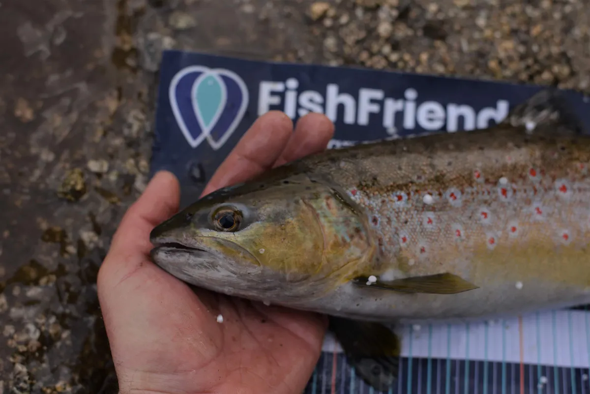 Tous les types de concours de pêche peuvent être organisés sur FishFriender