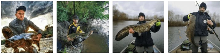 Quelques silures pêchés avec la canne BLACK CAT LIGHT SPIN 240CM