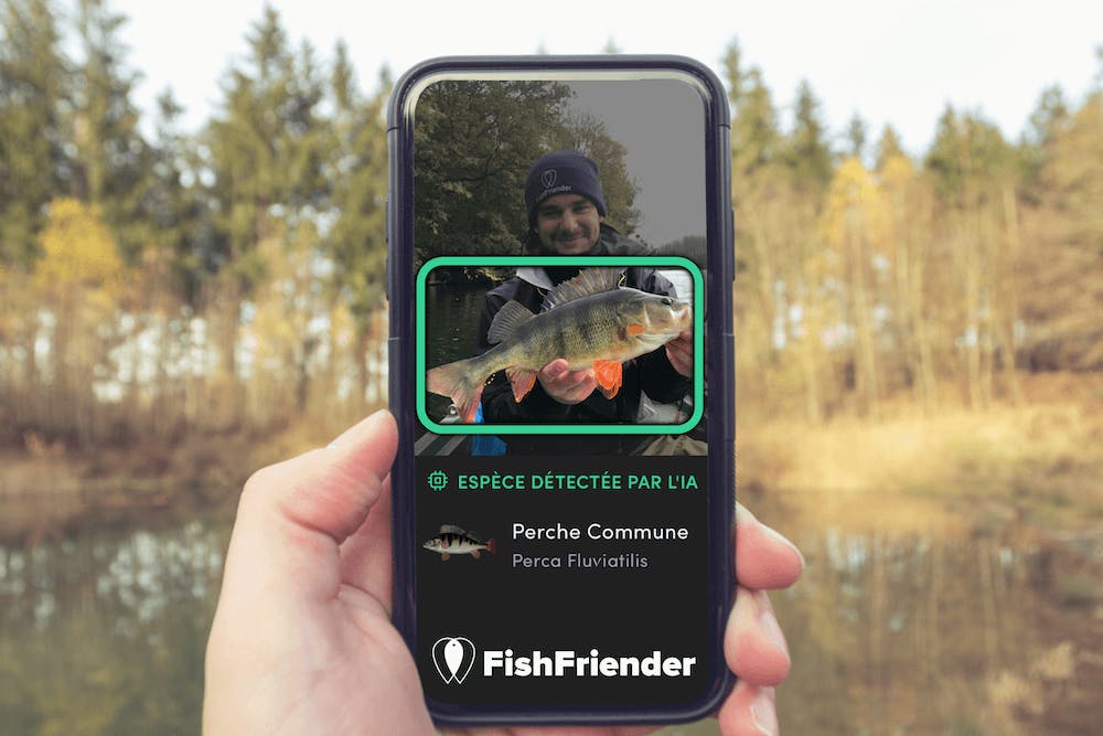 La detection d'espèces de poisson sur FishFriender