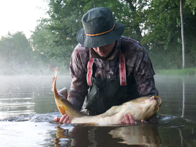 Belle carpe de Saône-et-Loire
