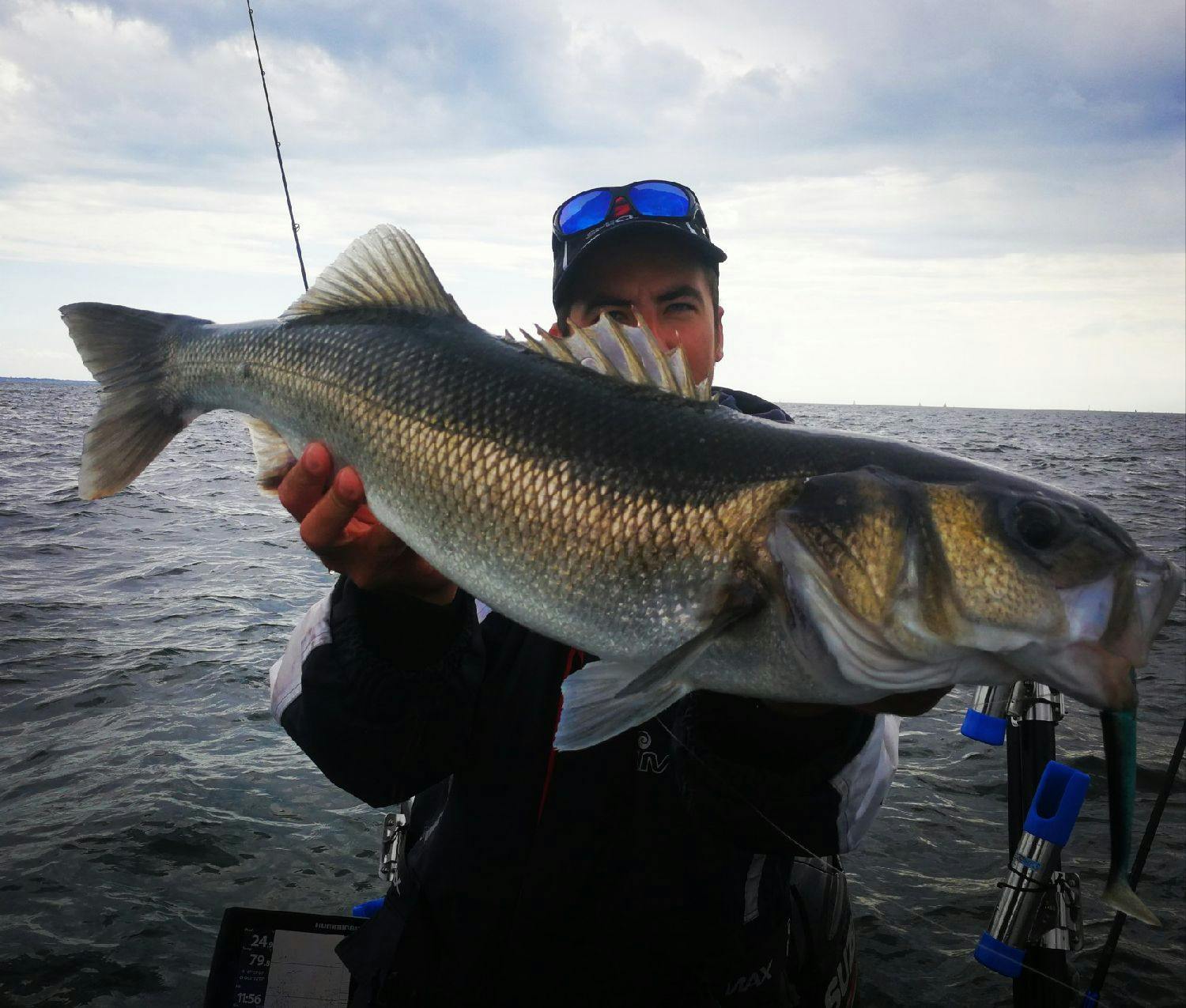 Dans la famille Nitro Shad, le Sprat et le Bôle sont redoutables