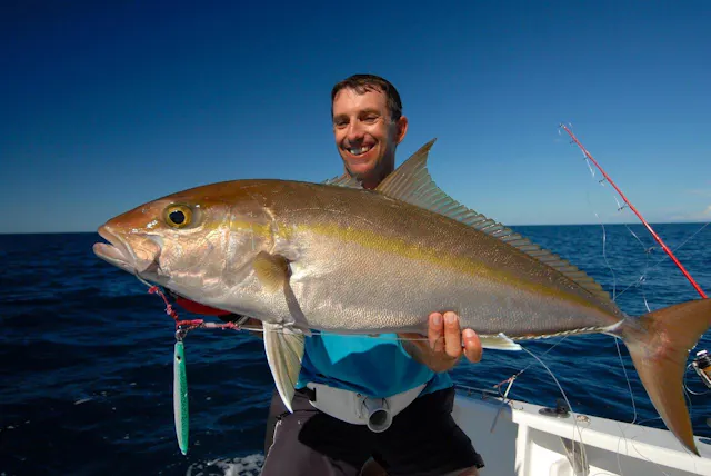 Tout savoir sur la pêche de la Sériole