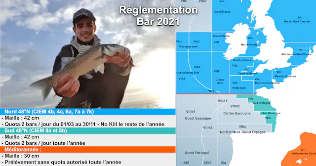 reglementation peche du bar 2021 : periode, taille et quotas