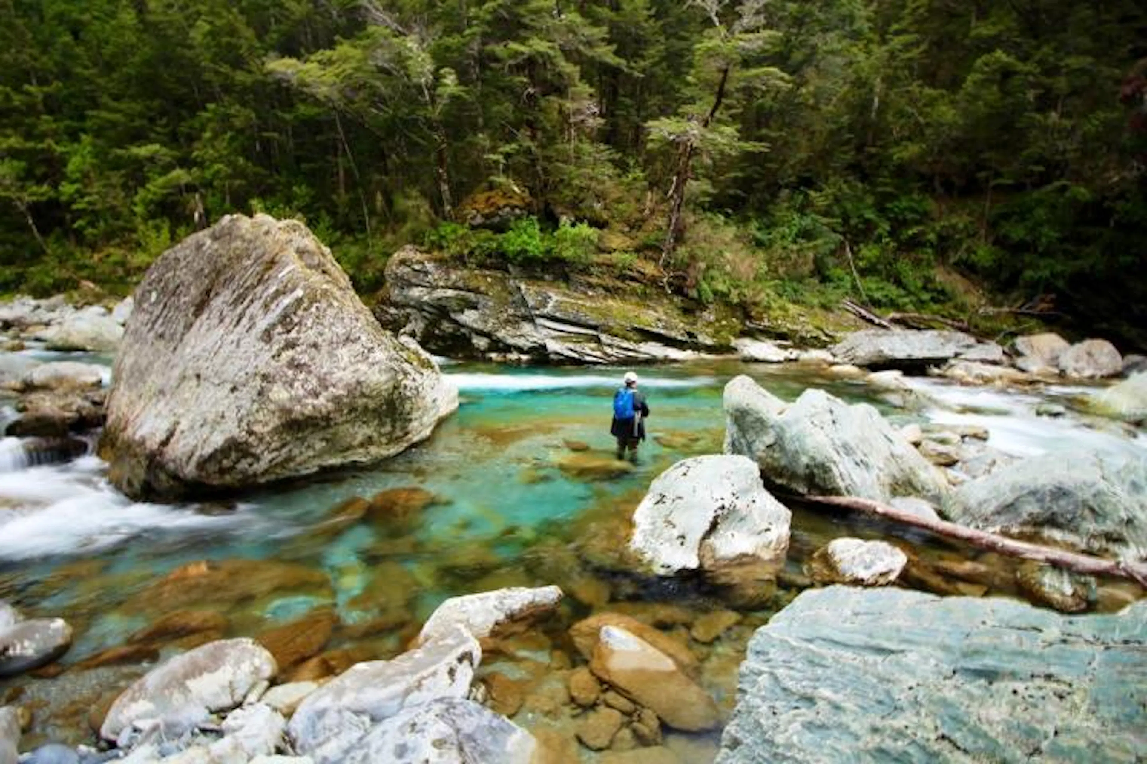 Fly Fishing