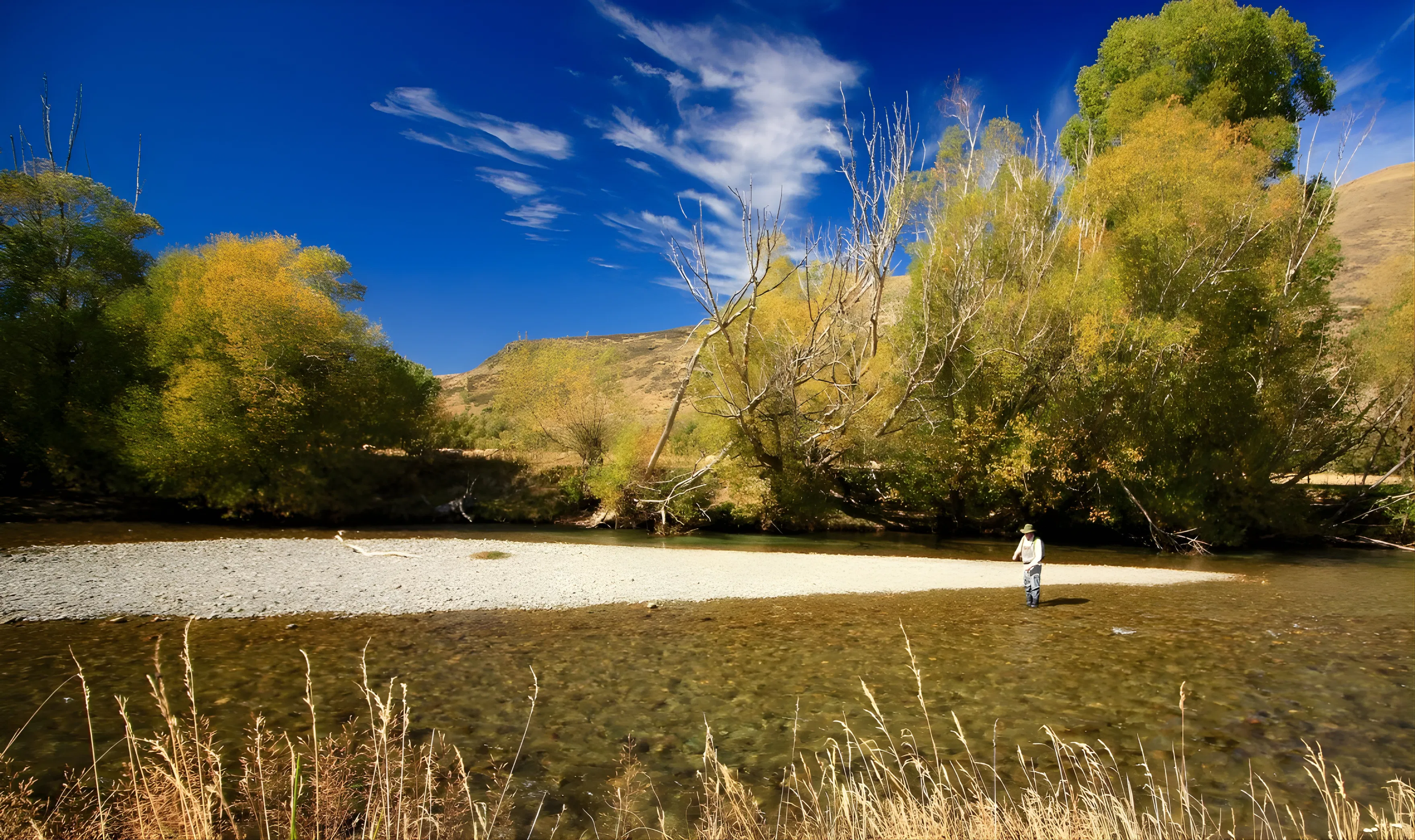 NZPFGA banner image