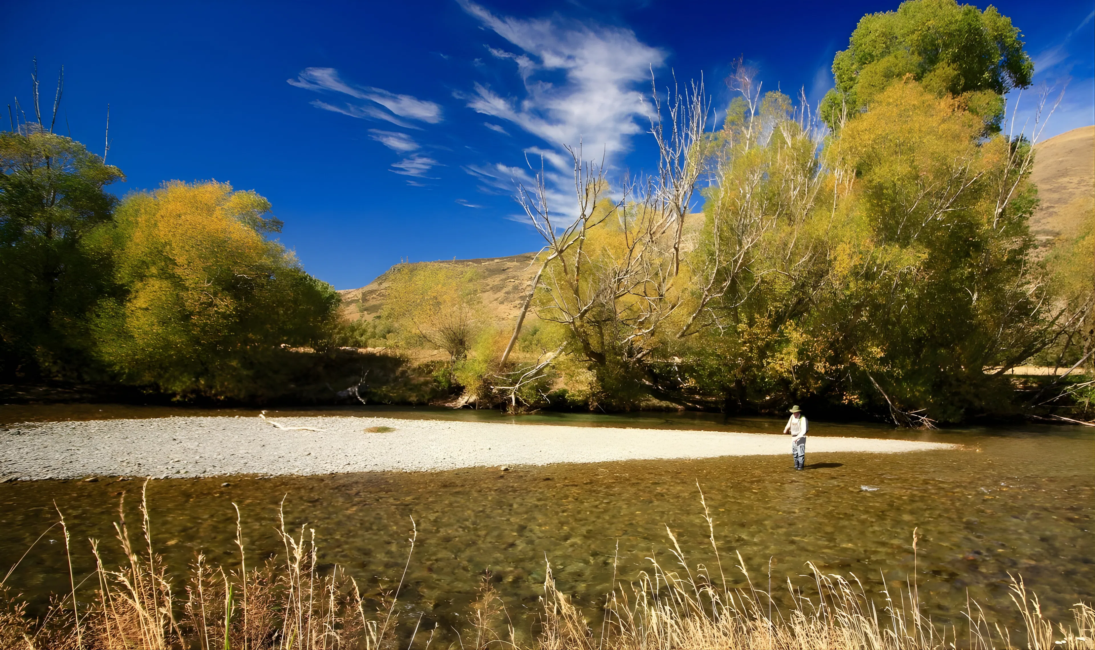 NZPFGA banner image 