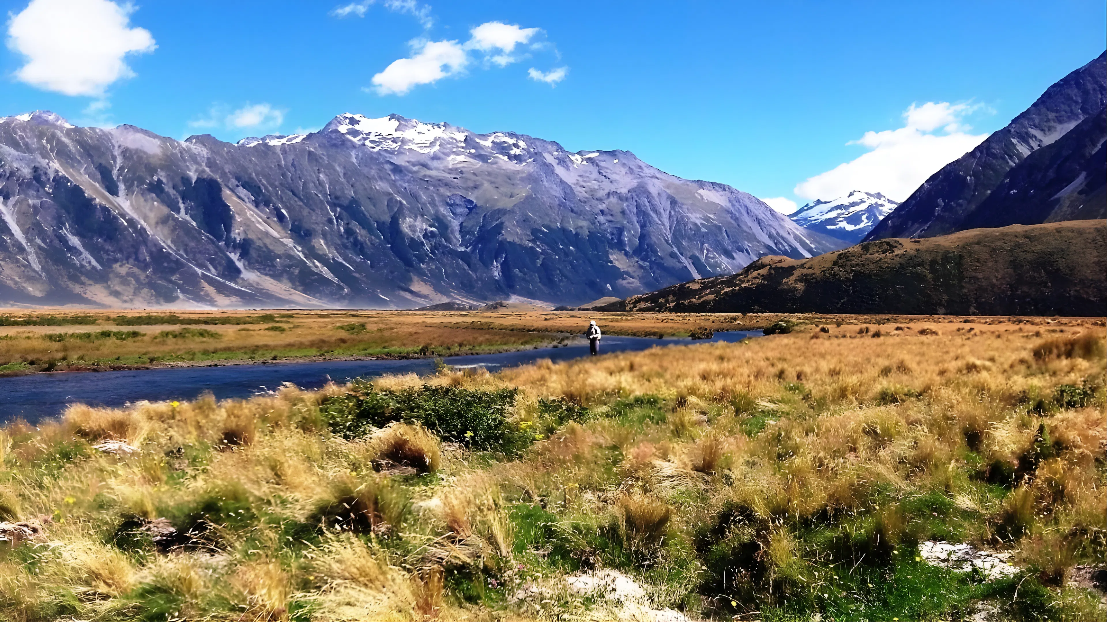 NZPFGA banner image 