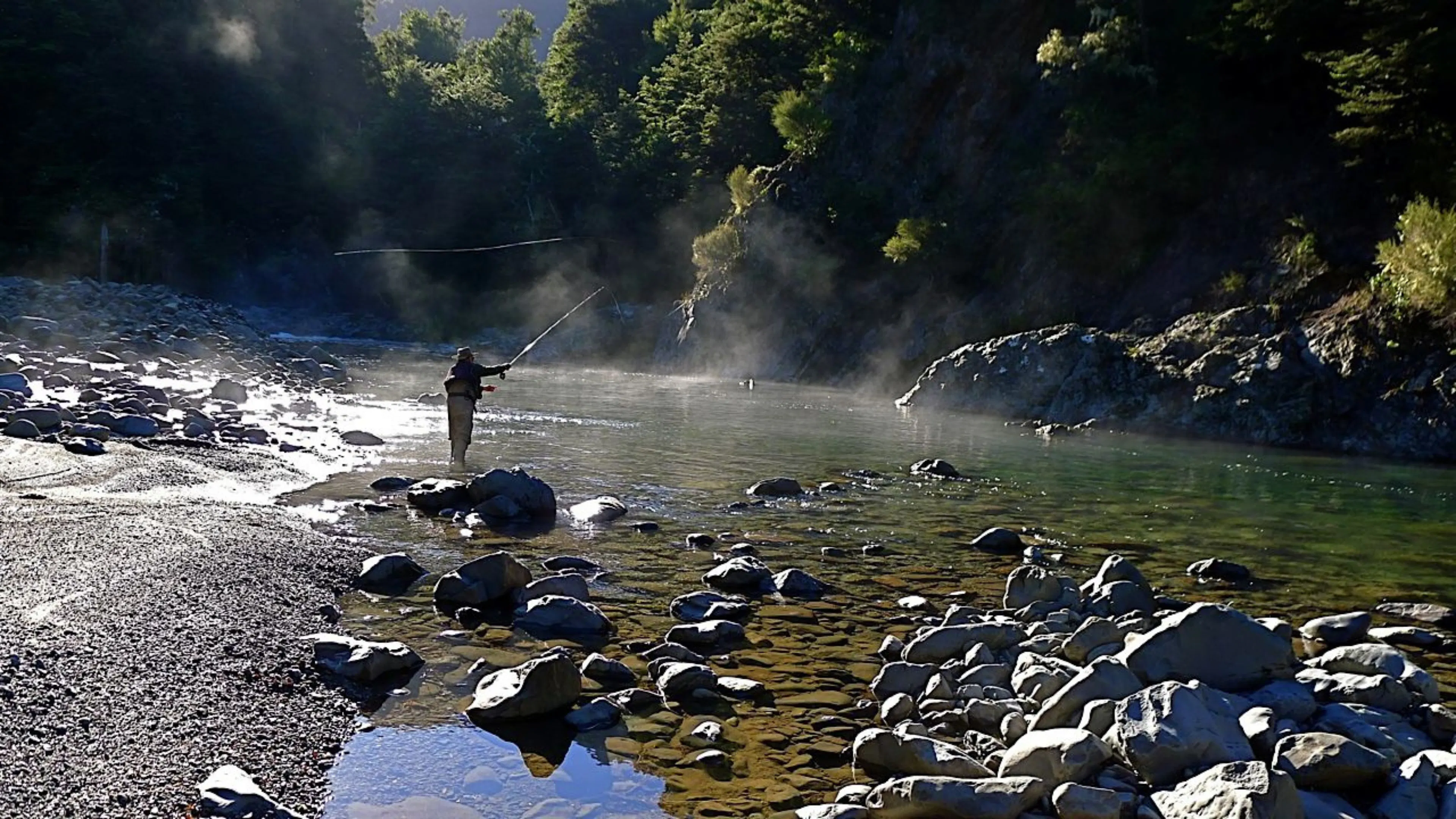 NZPFGA banner image 