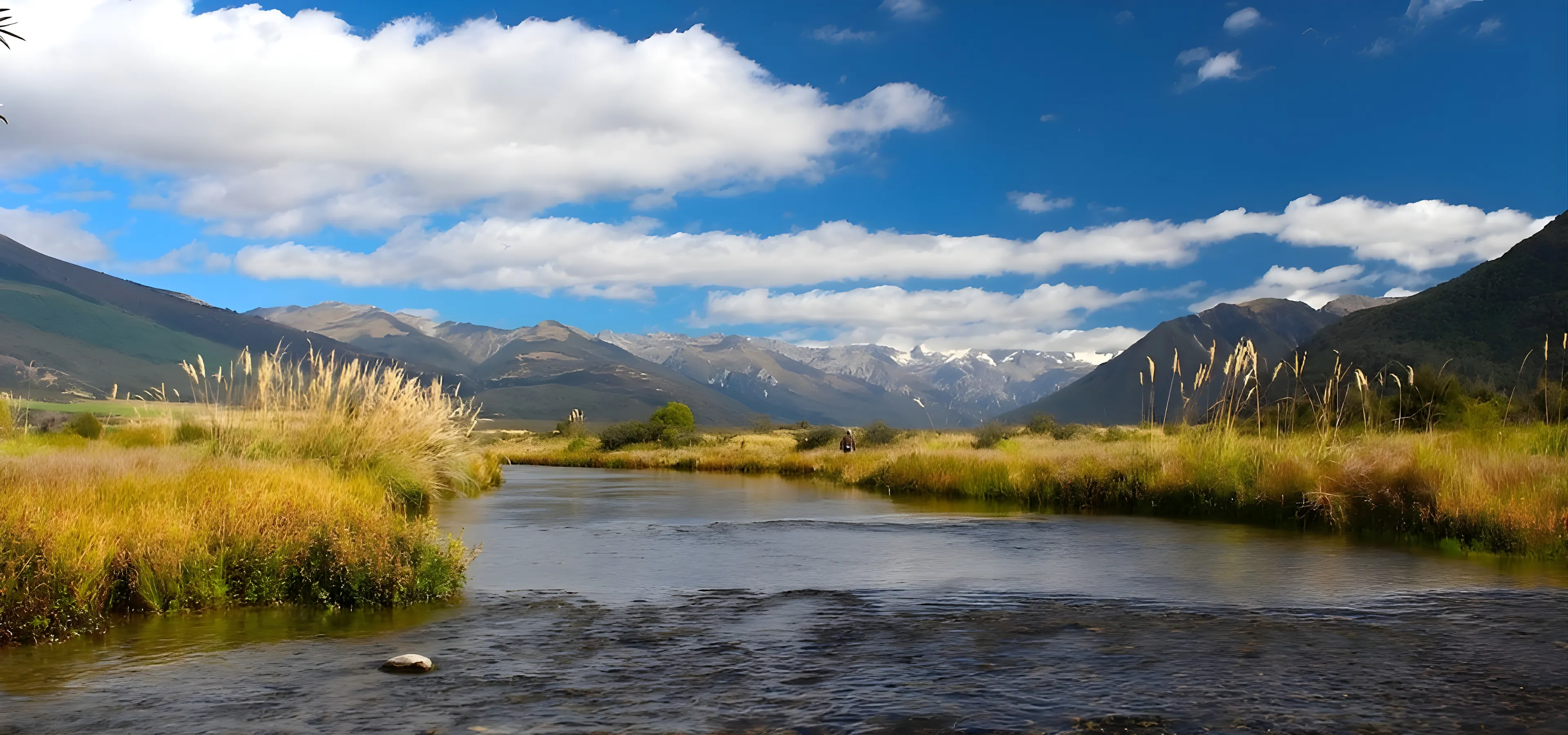Fishing in New Zealand