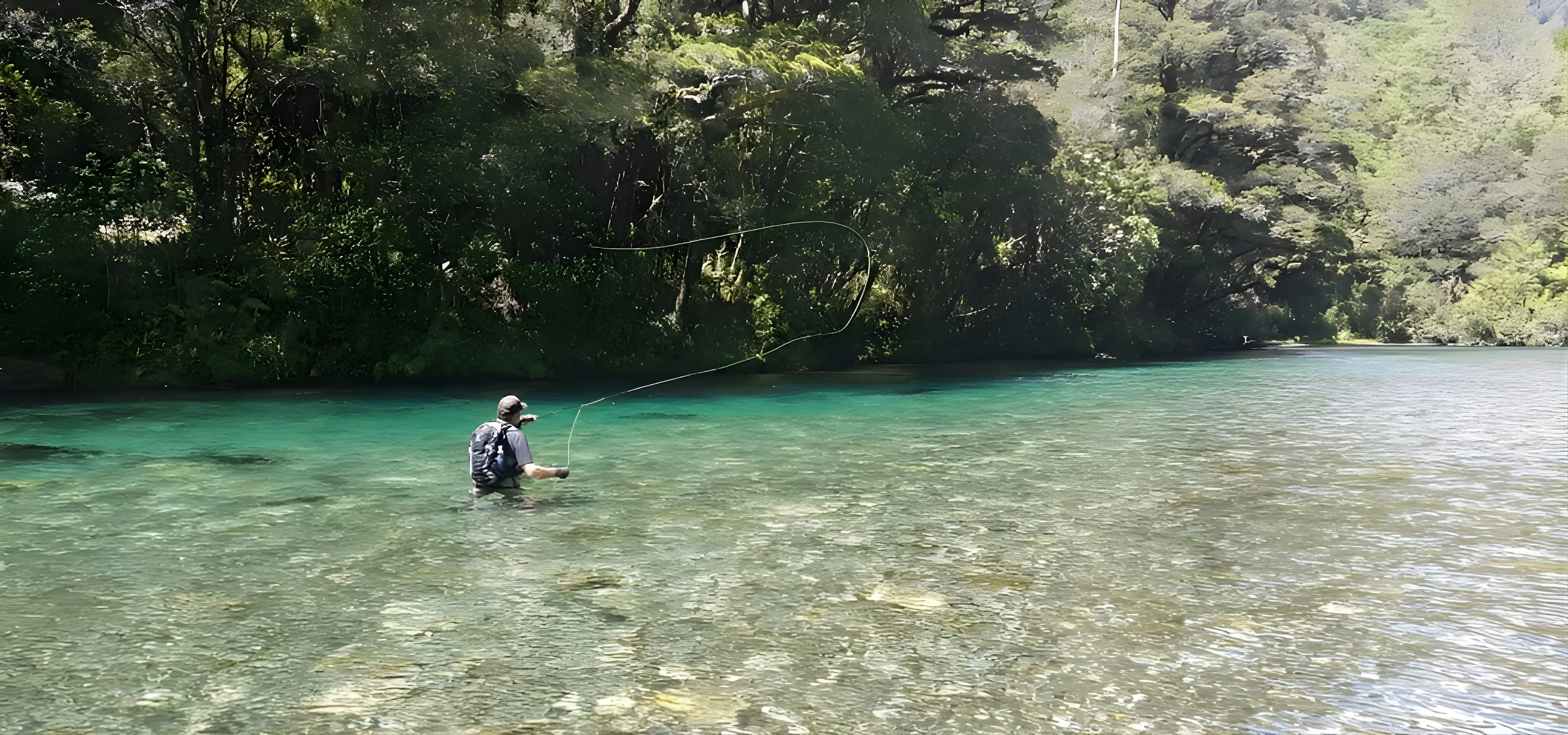 Fishing in New Zealand