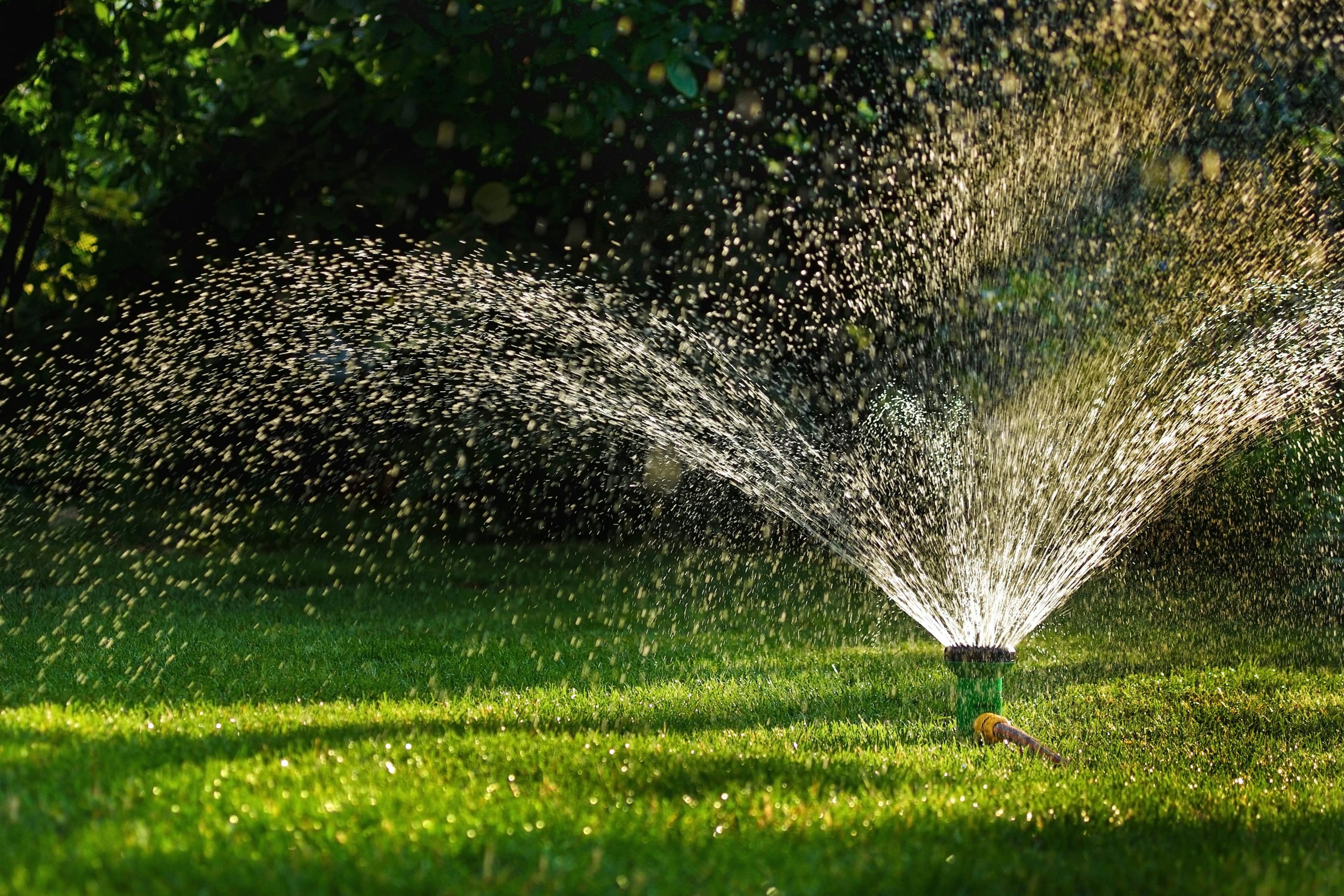 sprinkler system installation