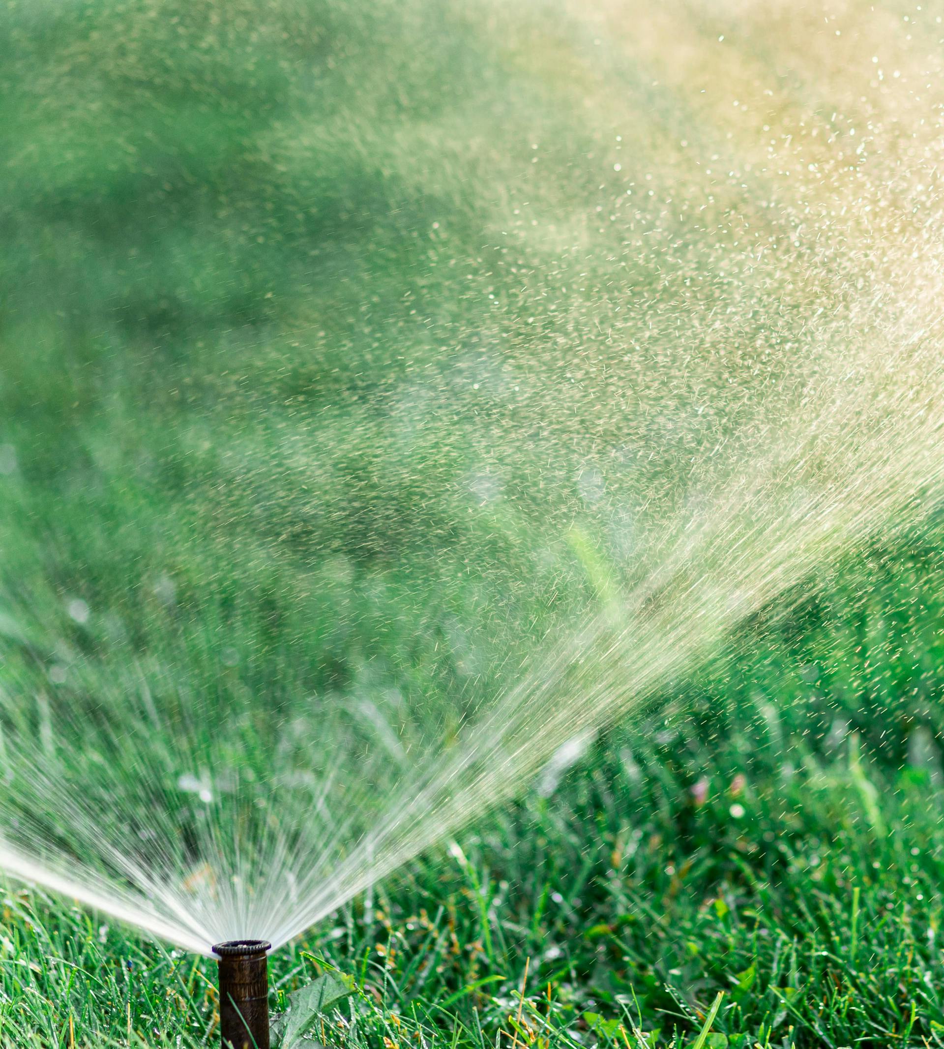 lawn sprinkler service and repair