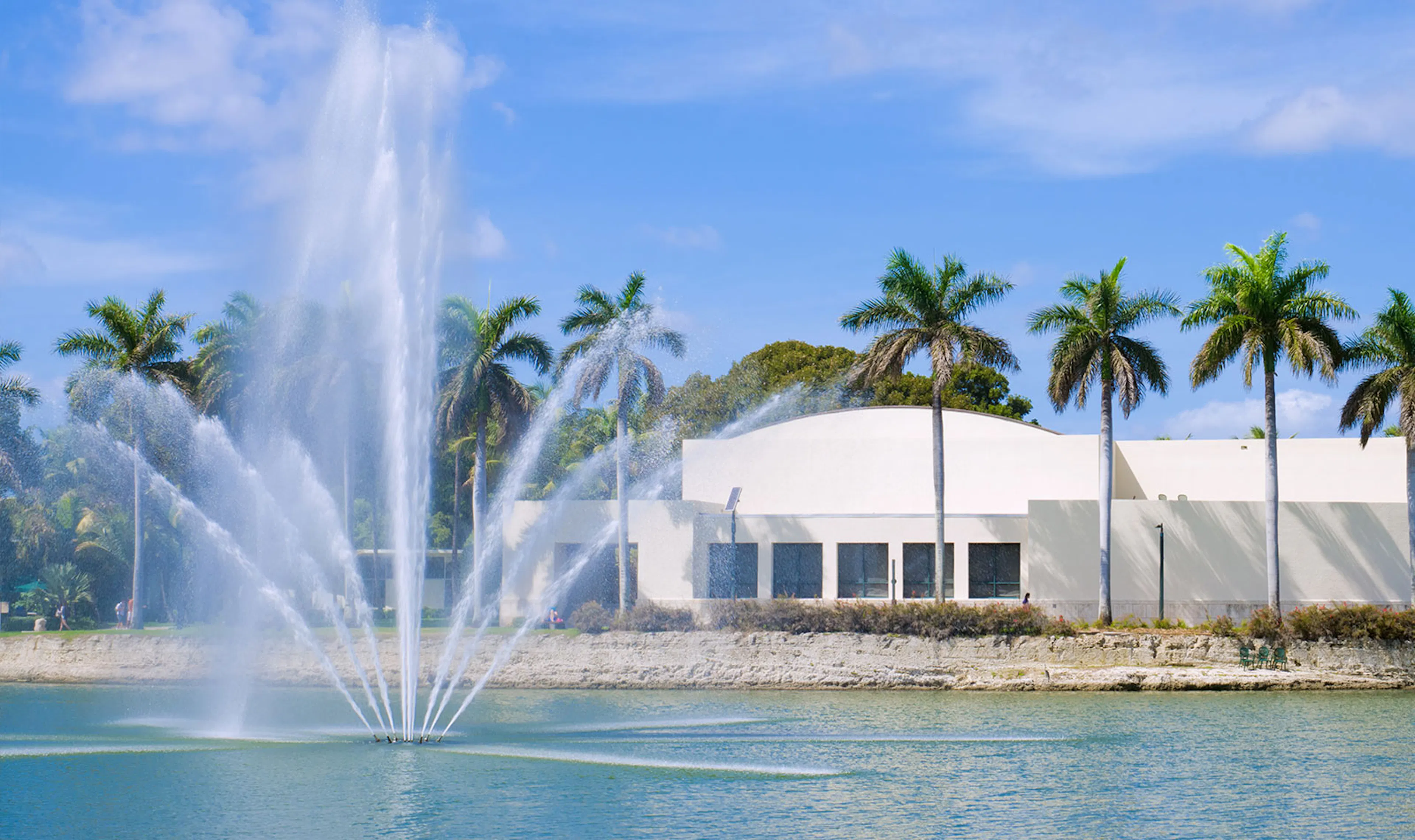 University Of Miami
