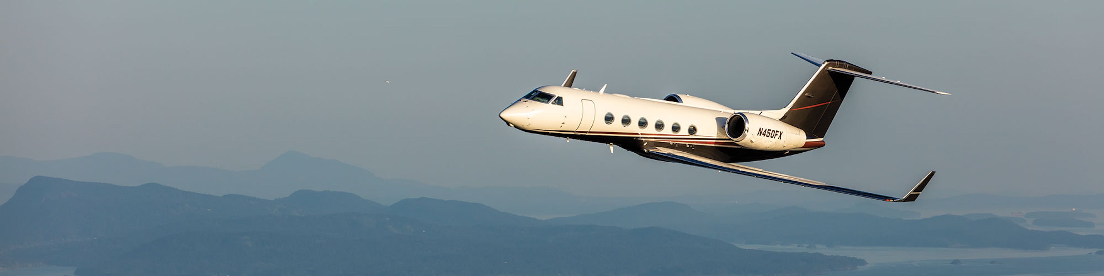 A g450 flying on a blue background with rolling hills and a bay