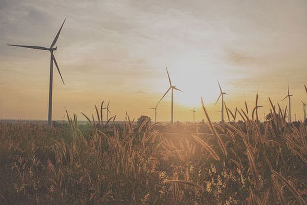 sustainability-prairie-winds-project