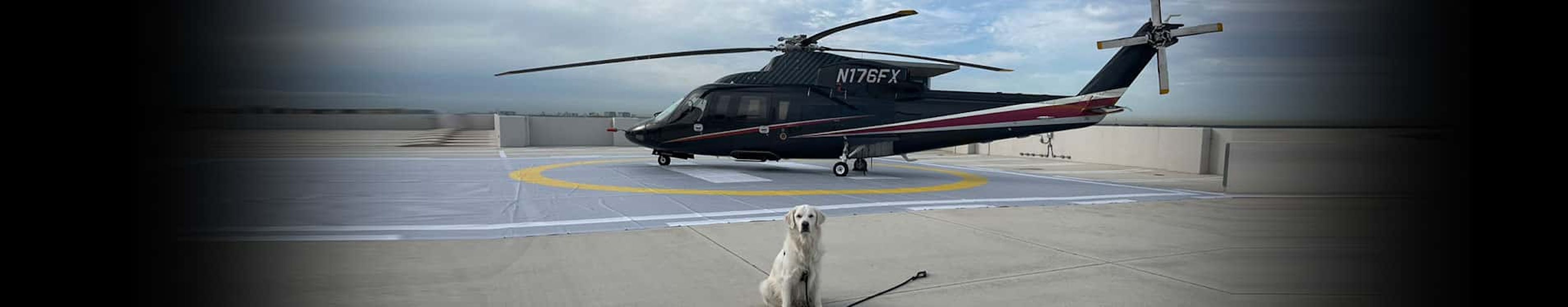 NEW_BLOG_Hero_Template