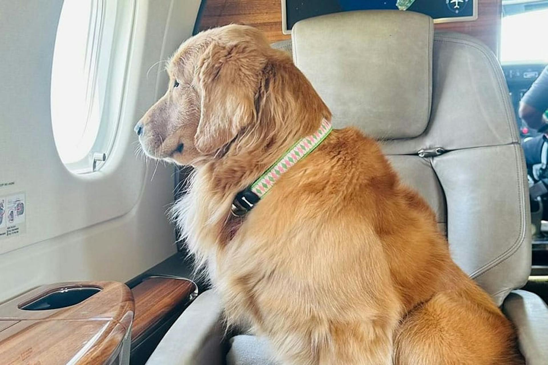 Flexjet Pets and Jets