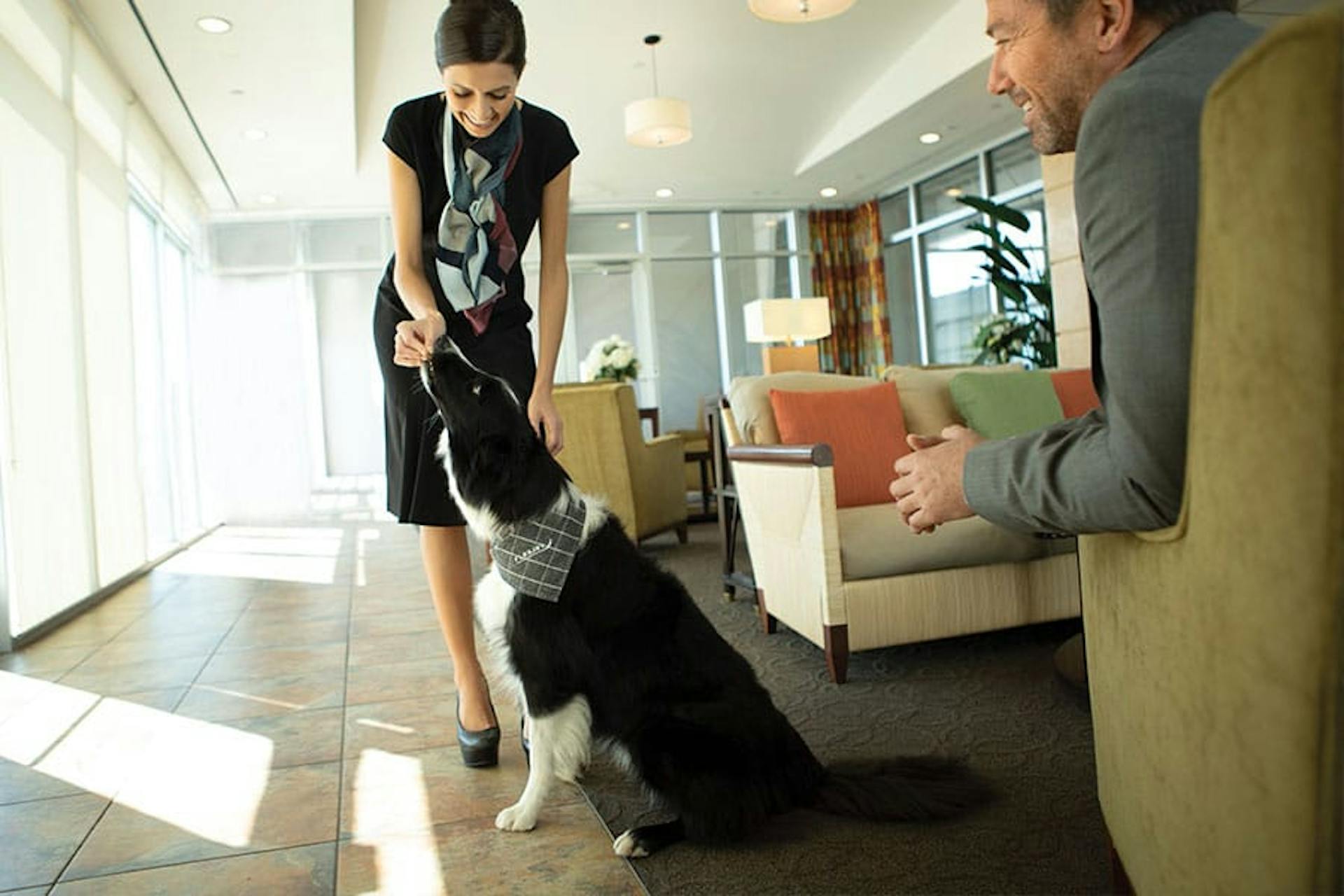 Flexjet Pets and Jets