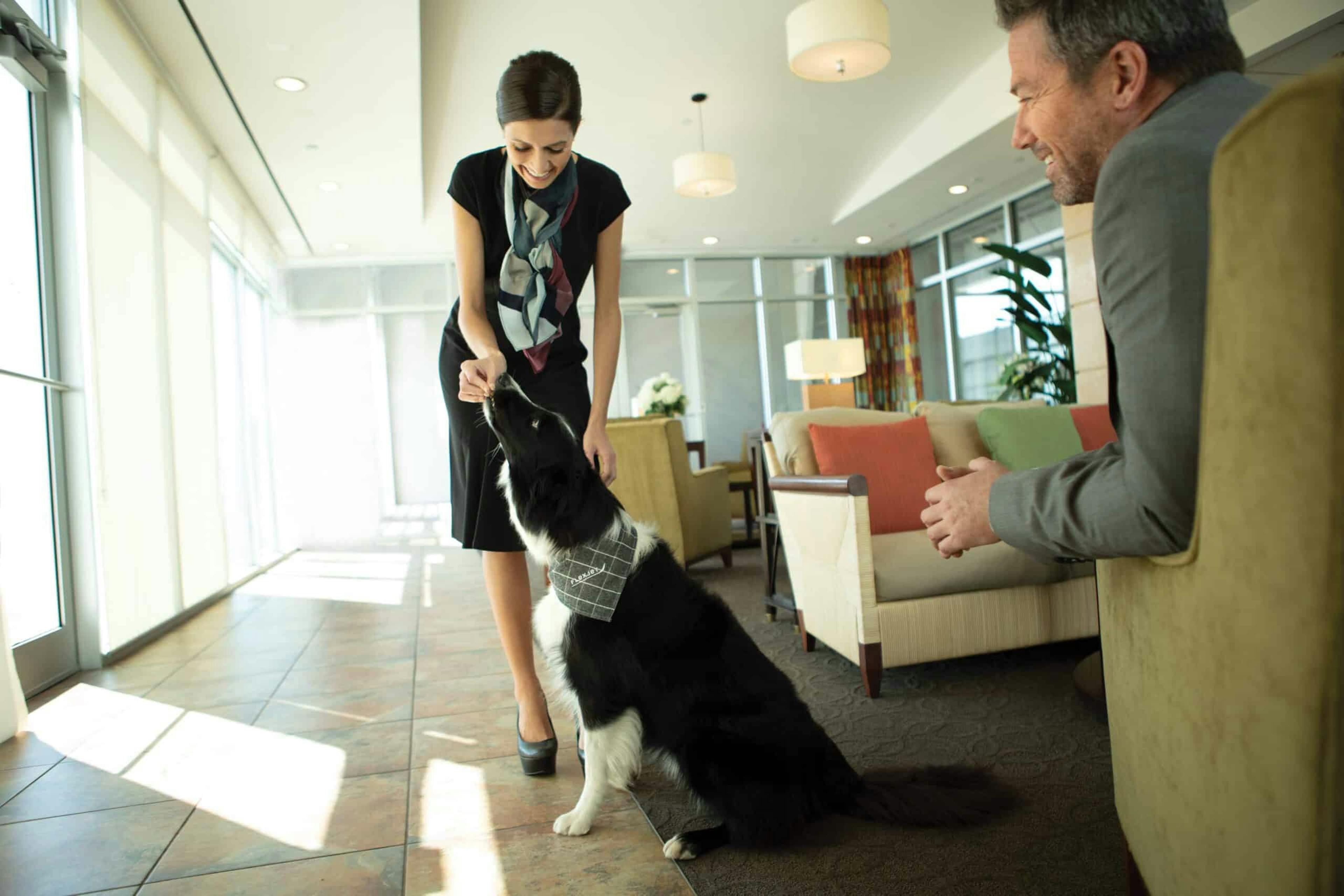 flight crew giving the dog a treat