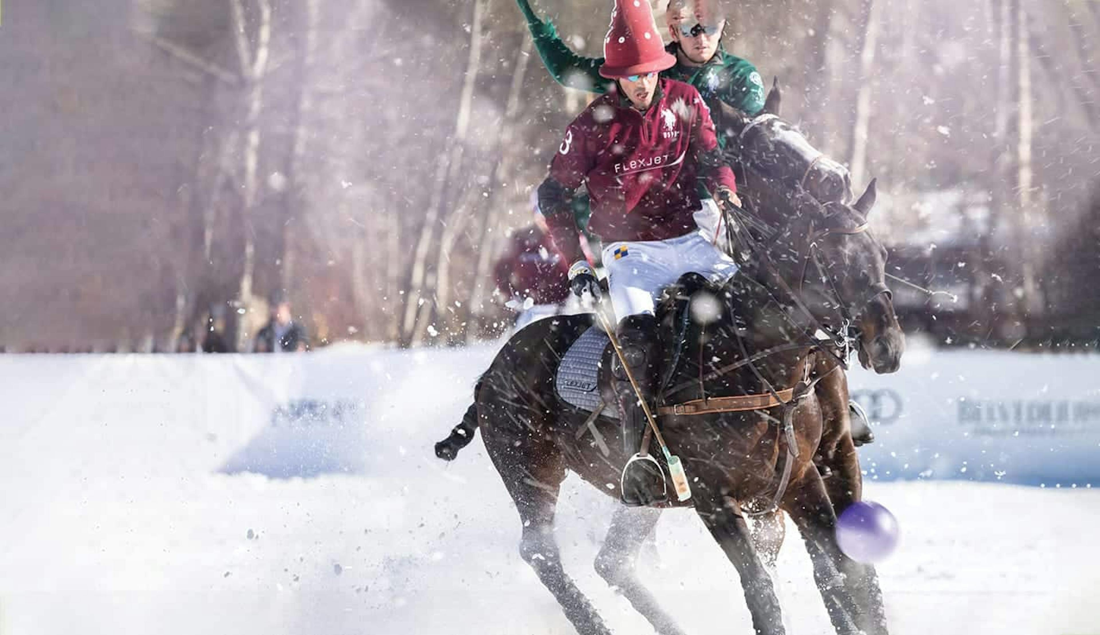 snow polo