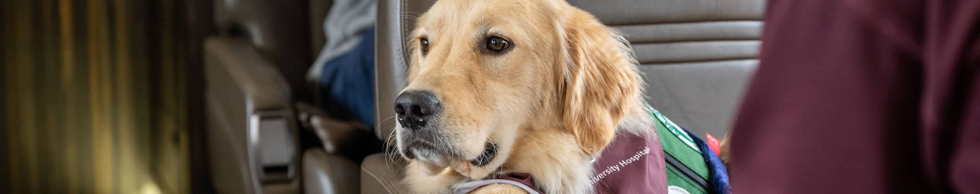 9_BLOG_Hero_Template