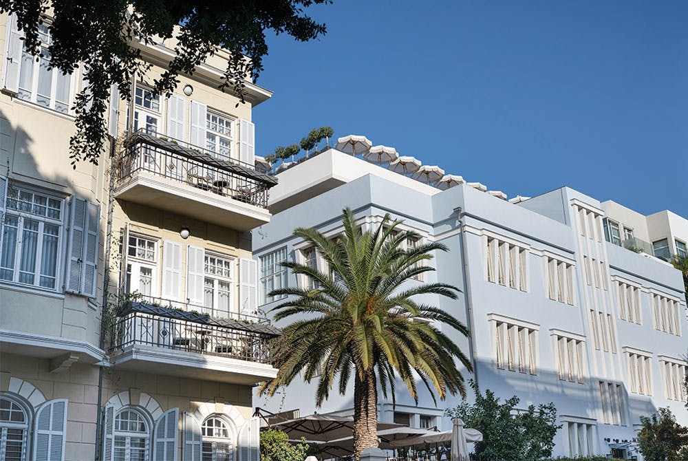 white buildings and palm tree
