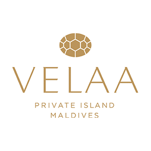 Velaa logo in a golden yellow on white square on transparent background