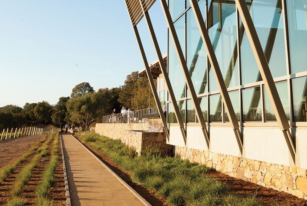 A walkway outside a large windowed building lined with small sprouting plants