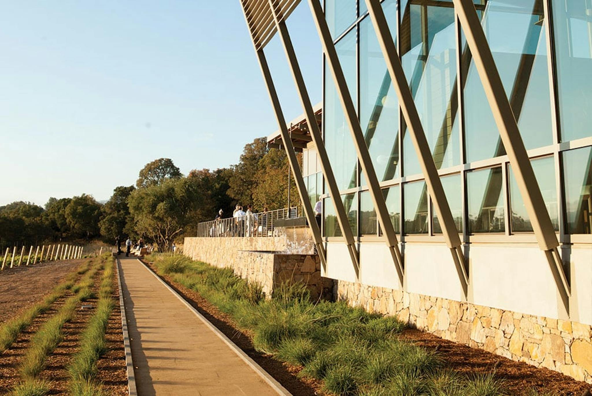 A walkway outside a large windowed building lined with small sprouting plants