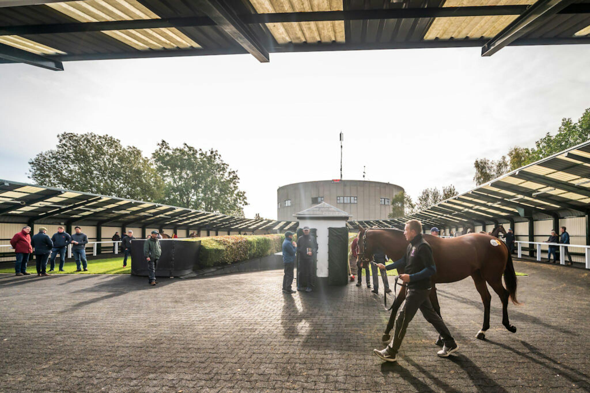 A WARM FLEXJET WELCOME AWAITS AT THE GOFFS ORBY SALE
