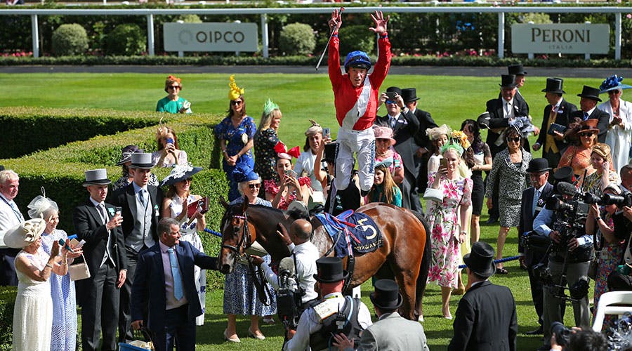 a horse jockey stands on top of his horse with hands up in front of a cheering crowd