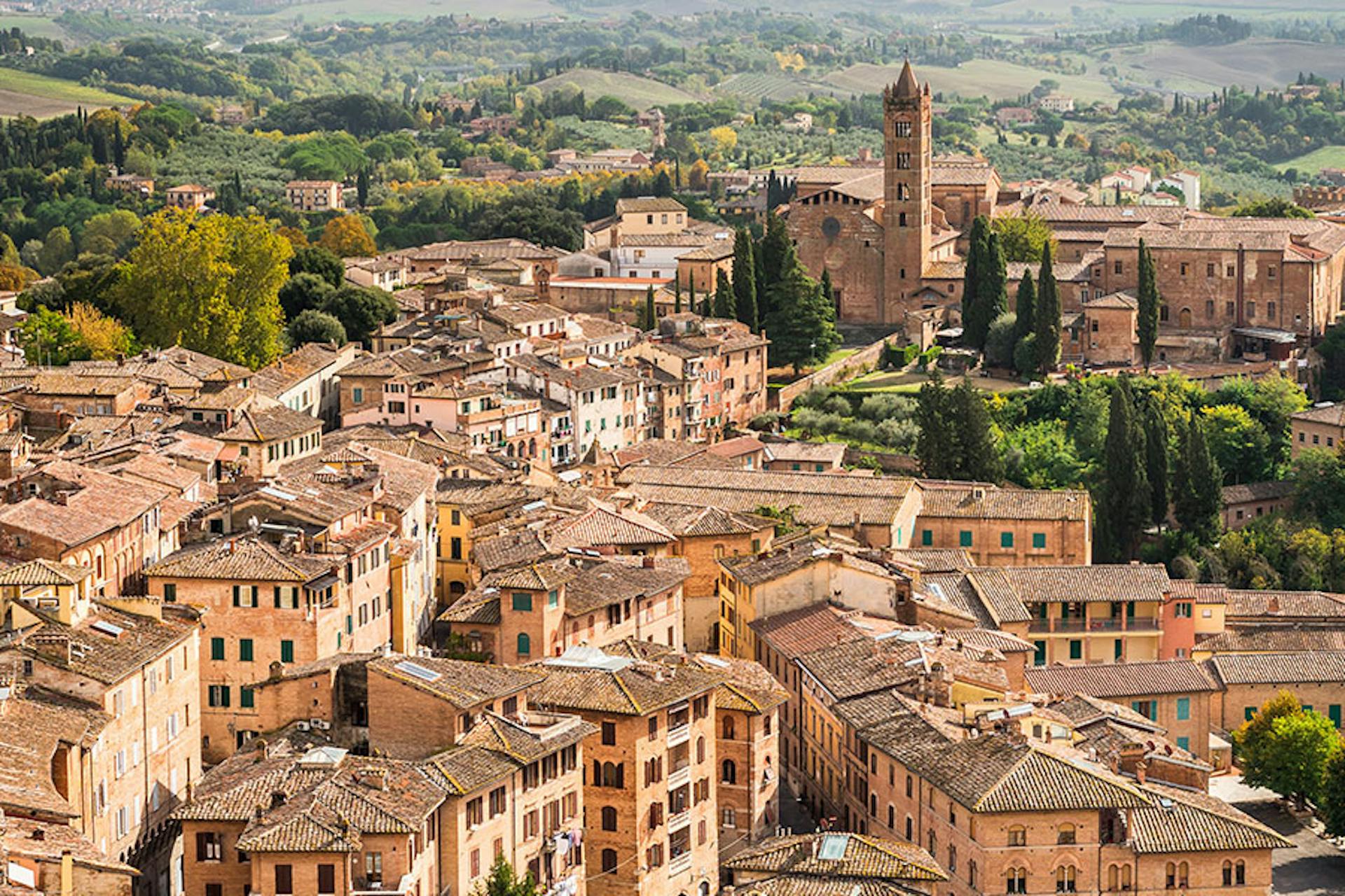Siena town