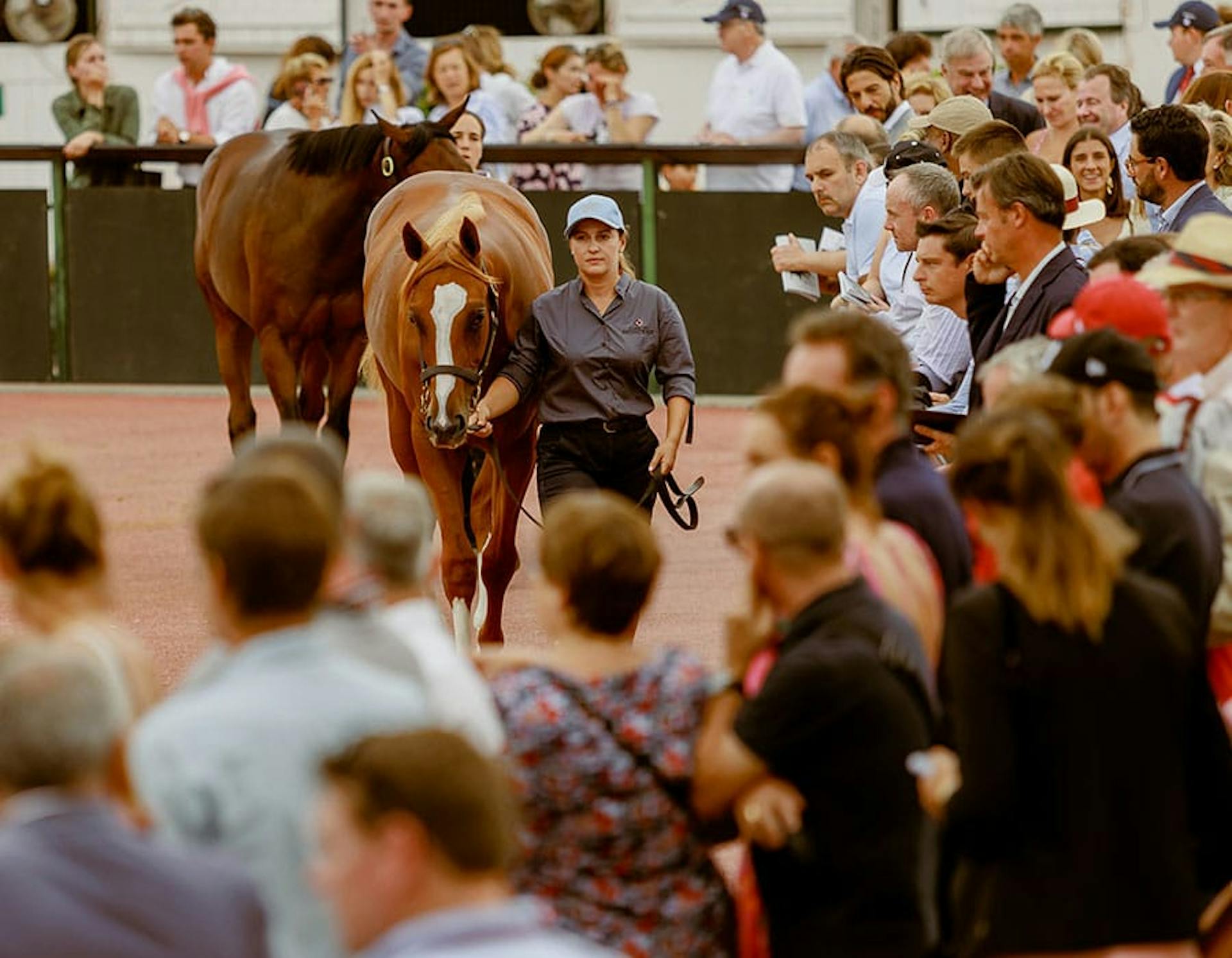 training walking a horse in front of the crowd
