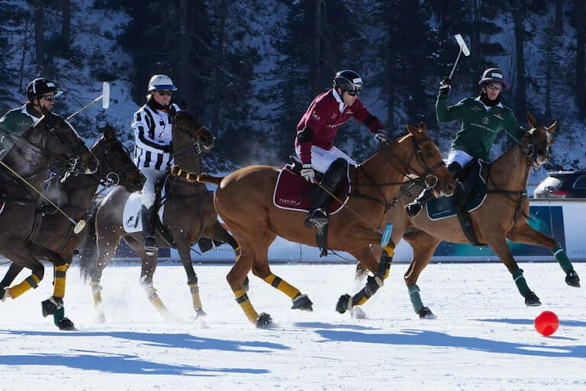 playing snow polo, a group of jockeys, horses and a referee are chasing down a red ball
