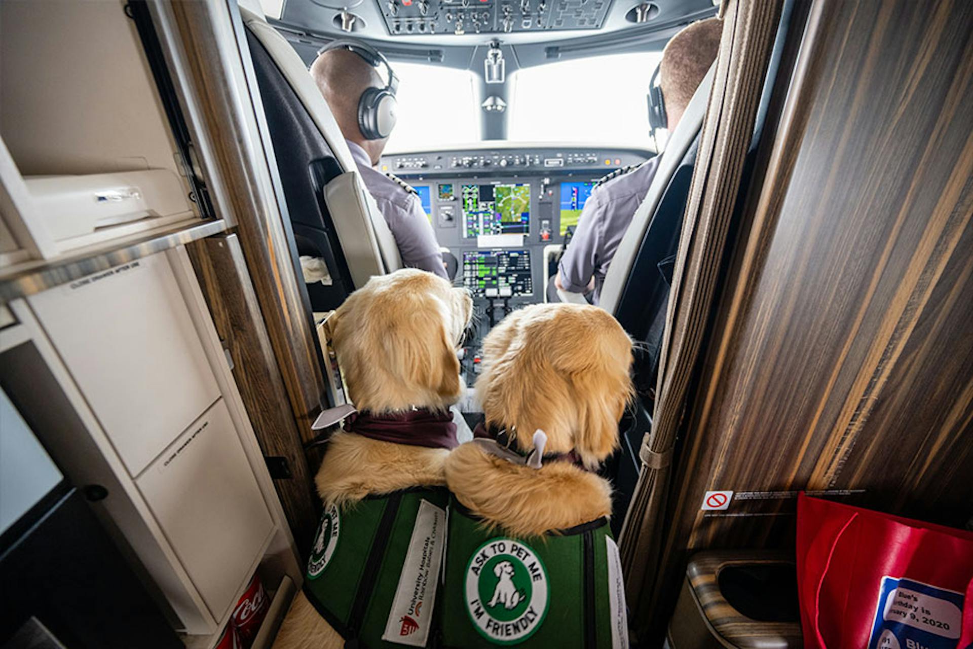 facility dogs in private jet