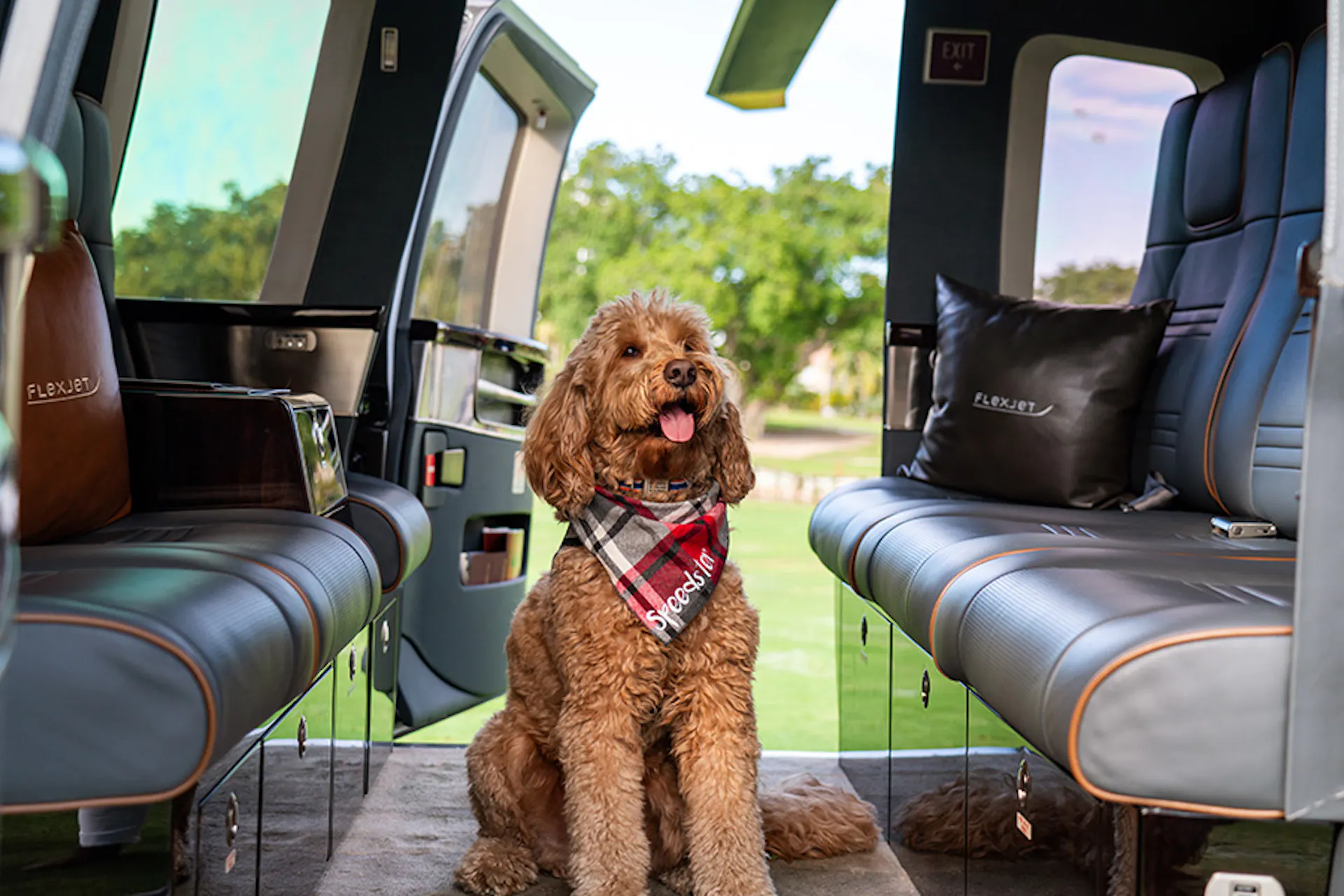 A dog sitting in a Flexjet helicopter