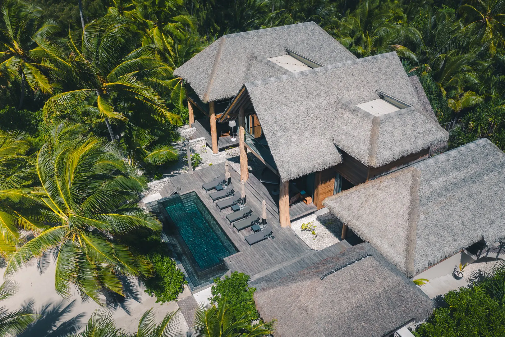 Luxury resort nestled in palm trees