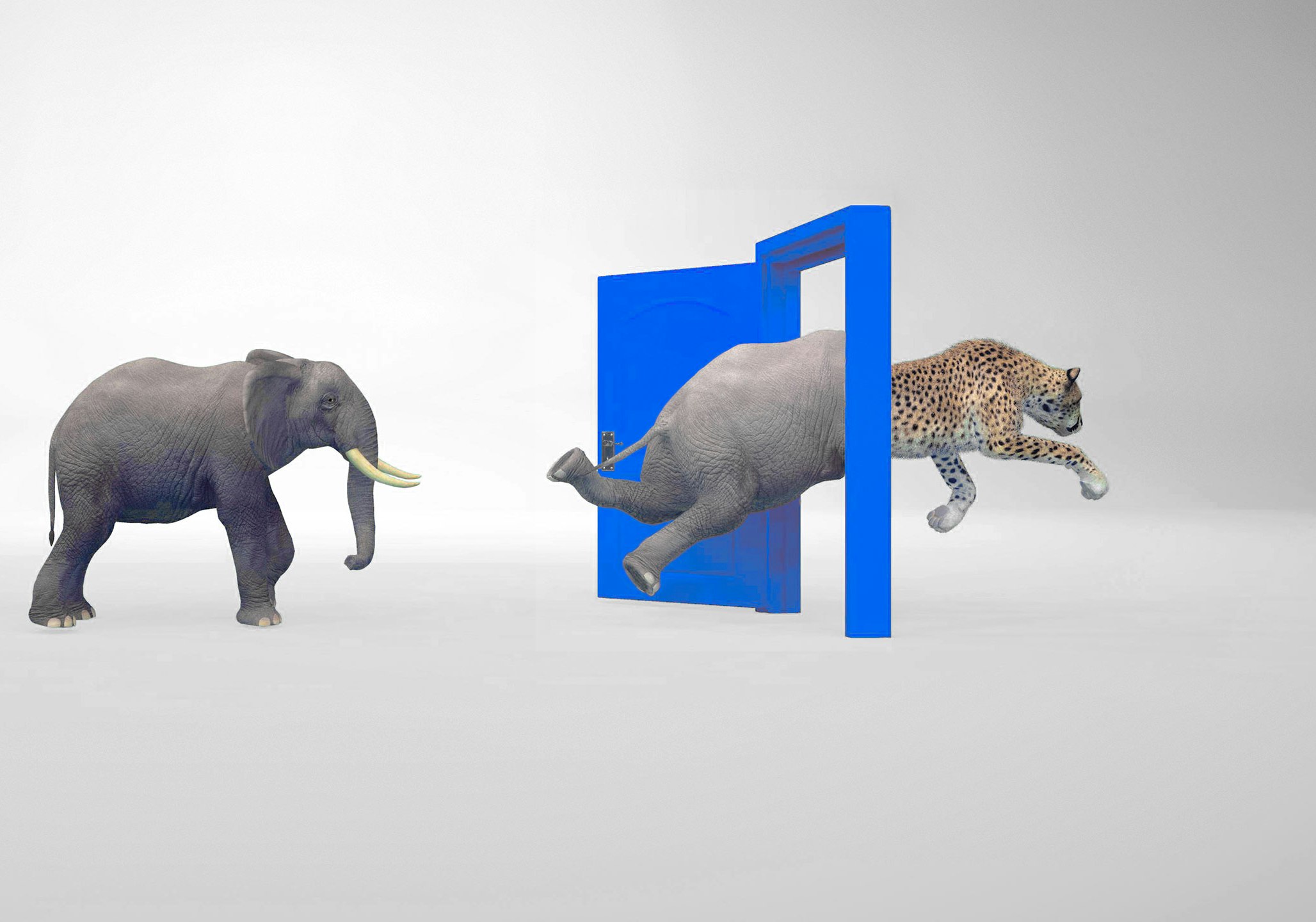 Elephants walk through a door and turn into cheetahs