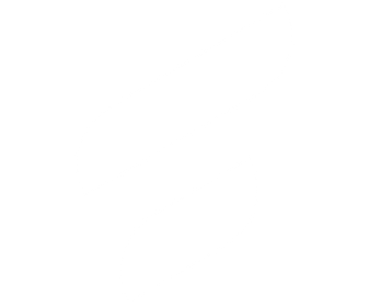 Swirl of Flip logo in white