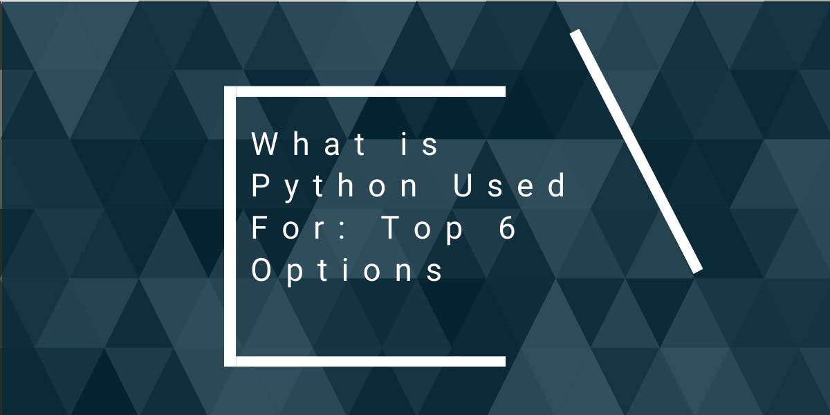 What is Python Used For: Top 6 Options - Flipnode