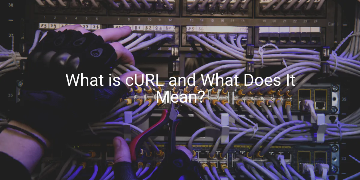 What is cURL and What Does It Mean? - Flipnode
