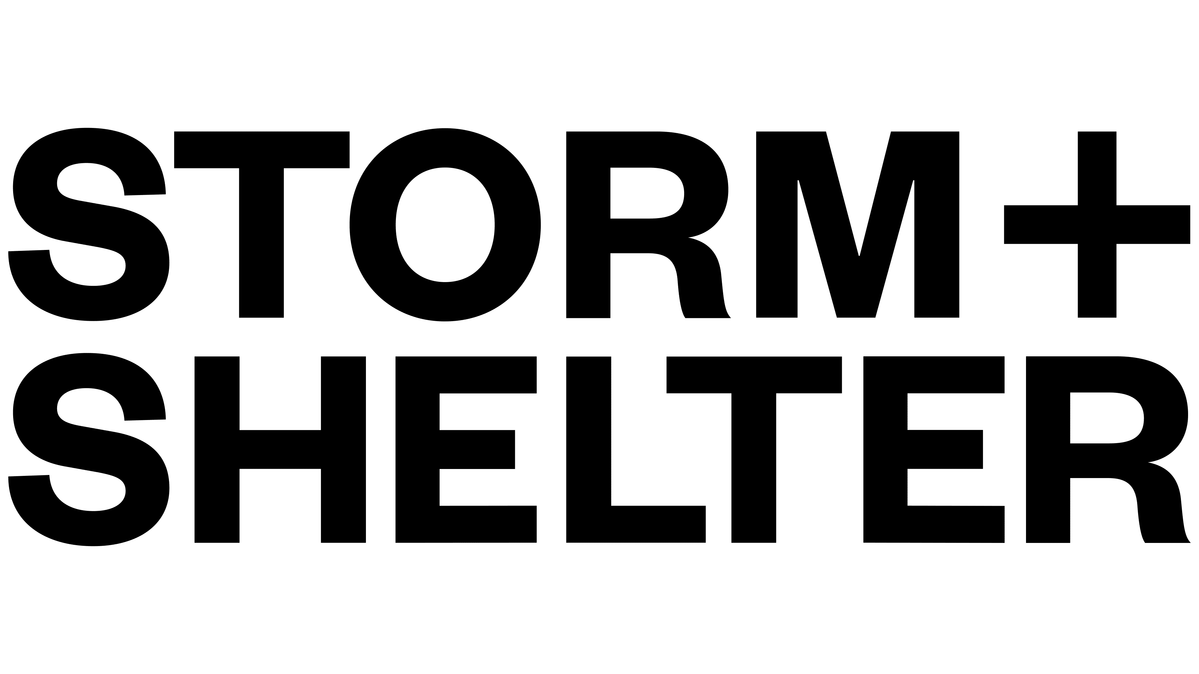Storm and Shelter logo