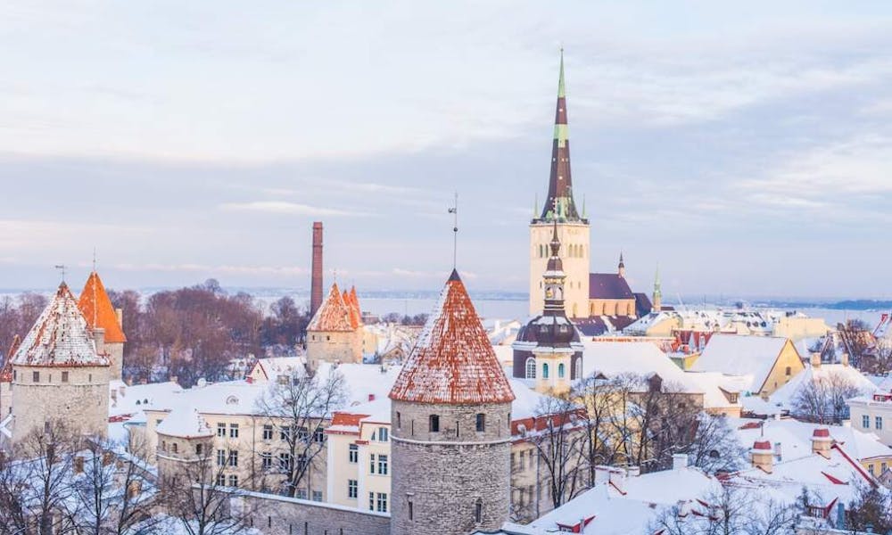 Die Blumenfestivals von Tallinn feiern