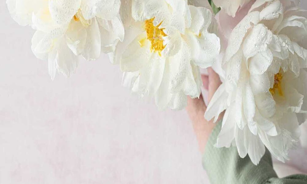23 Ideias de Decoração Floral Sazonal: Trazendo a Beleza da Natureza para o Seu Lar