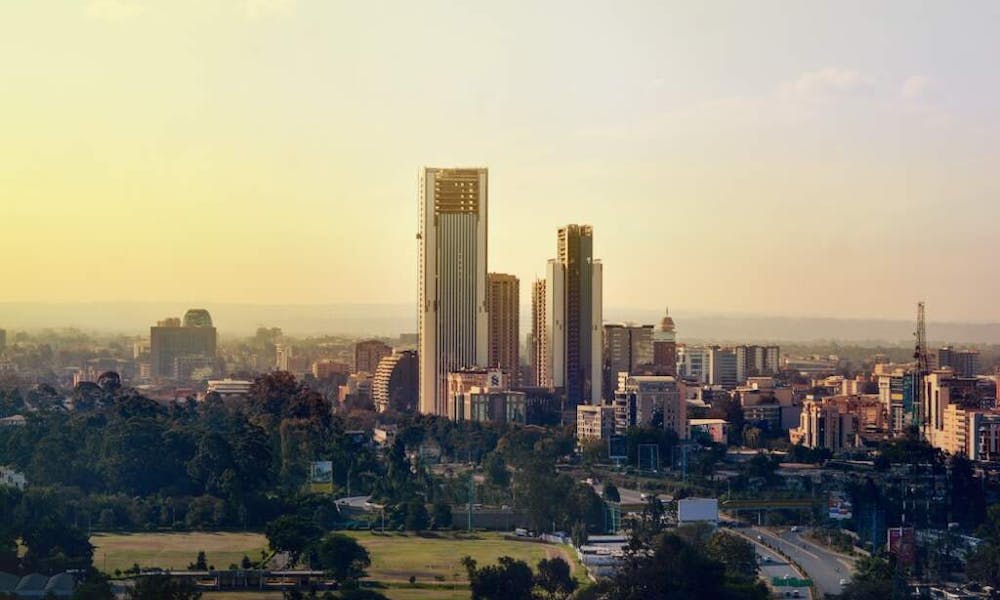 Wie Nairobi seine einheimischen Blumen pflegt