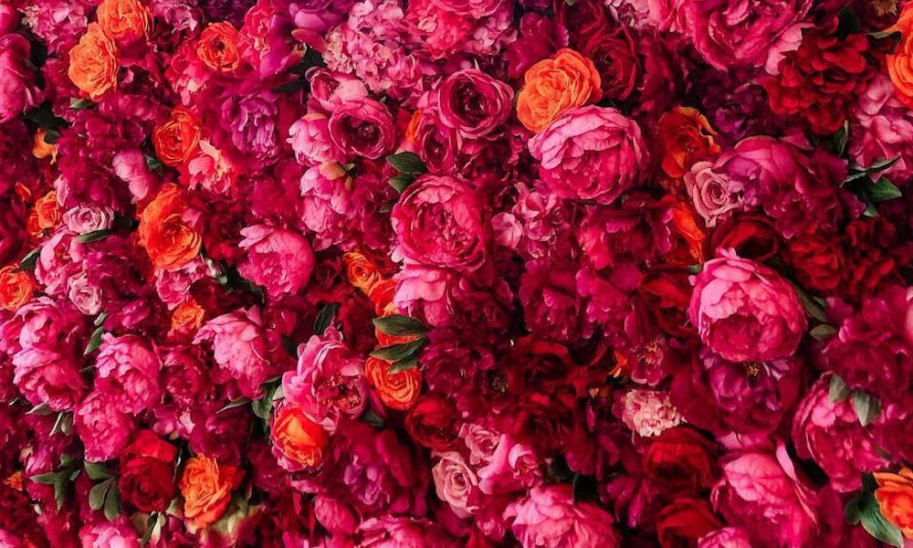 Kwiaty dostarczone jutro z FloraQueen: przynosimy radość na każdą okazję
