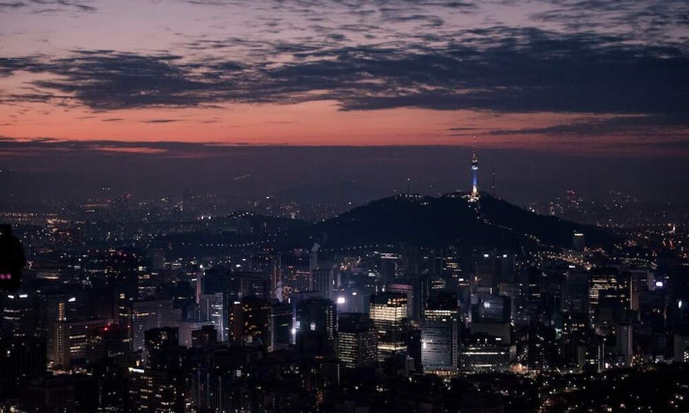 Eine Geschichte zweier Blumen: Erkundung der Märkte von Seoul Banner